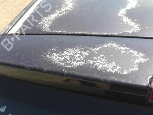 Bakluke CC/Kombi-Kupé OPEL ASTRA H (A04) 1.9 CDTI (L48) | BP27495439C6 