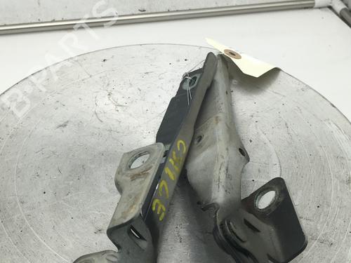 hingedoor-check-strap-citroen-c3-ii-sc_-2009-31642326 main image