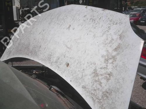 Used Hood RENAULT KANGOO / GRAND KANGOO II (KW0/1_) 1.5 dCi 90 (KW05, KW08, KW0G, KW11) (90 hp) 28000589