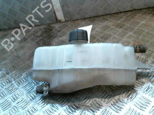 Used Expansion tank RENAULT CLIO III (BR0/1, CR0/1) 1.5 dCi (75 hp) 20996129