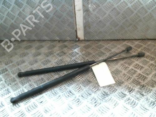 Used Tailgate lift support RENAULT SCÉNIC II (JM0/1_) 2.0 dCi (JM1K) (150 hp) 20992293