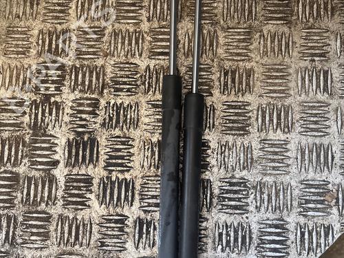 tailgate-lift-support-renault-clio-iii-br01-cr01-2005-2006-2007-2008-2009-2010-2011-2012-2013-2014-34219915 main image