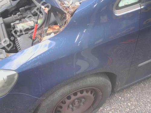 Used Left front fenders VW GOLF PLUS V (5M1, 521) 1.6 TDI (105 hp) 28495555