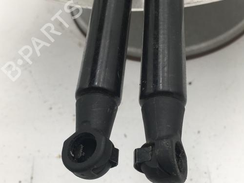 tailgate-lift-support-citroen-c3-ii-sc_-2009-30409630 main image