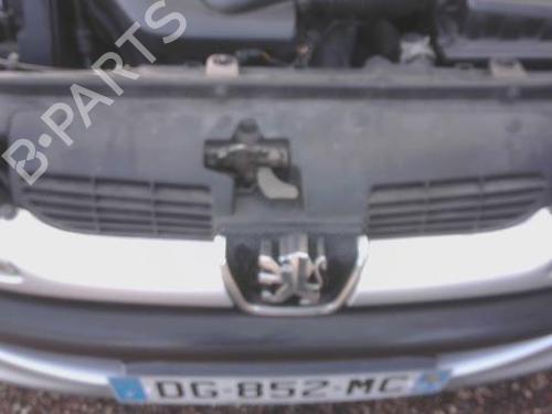 Grill PEUGEOT 206 CC (2D) 2.0 S16 (136 hp) 32022102