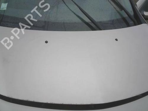 Used Hood RENAULT CLIO III (BR0/1, CR0/1) 1.5 dCi (BR17, CR17) (86 hp) 29712755