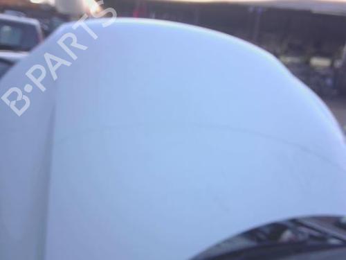 Used Hood VW TIGUAN (5N_) 2.0 TDI (140 hp) 30645403