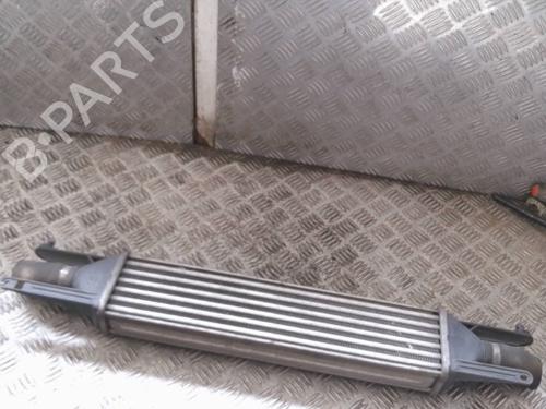 Used Intercooler FIAT PUNTO EVO (199_) 1.3 D Multijet (199AXC1A, 199BXC1A, 199AXT1A, 199BXT1A) (75 hp) 27258062