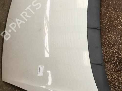 Used Hood FIAT PUNTO EVO (199_) 1.4 (199AXB1A) (77 hp) 24403002