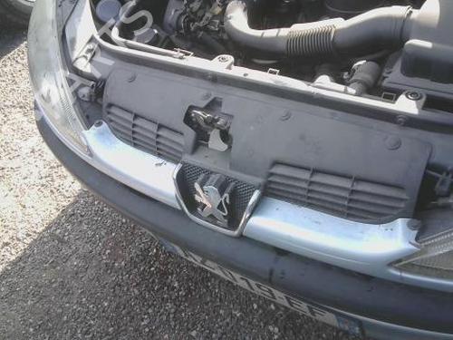 Used Grille PEUGEOT 206 Hatchback (2A/C) 1.9 D (69 hp) 30149456