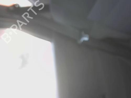 Used Rear right belt tensioner RENAULT SCÉNIC III (JZ0/1_) 1.5 dCi (110 hp) 29043640