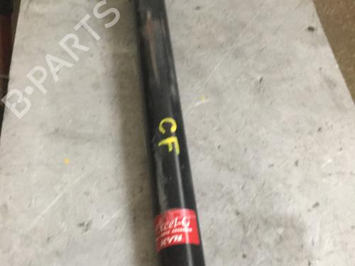 Used Left rear shock absorber FORD C-MAX (DM2) 1.8 TDCi (115 hp) 25736252