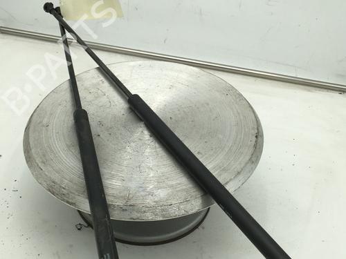 Tailgate lift support CITROËN XSARA PICASSO (N68) 2.0 HDi | BP31168426C138