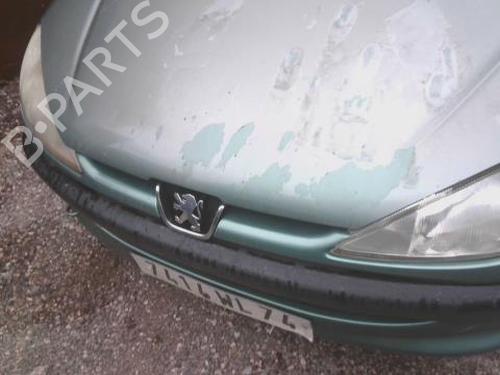 Grill PEUGEOT 206 Hatchback (2A/C) 1.9 D (69 hp) 31213989