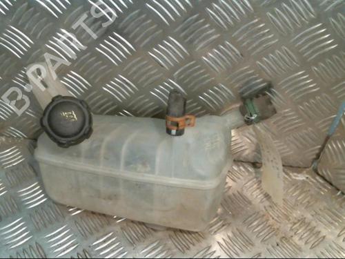 Ekspansjonstank RENAULT MEGANE II (BM0/1_, CM0/1_) 1.9 dCi (BM0G, CM0G) (120 hp) 20999324