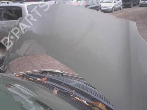 Used Hood RENAULT MODUS / GRAND MODUS (F/JP0_) 1.6 (JP03, JP0B, JP0U, JP0Y, JP1G) (112 hp) 30712246