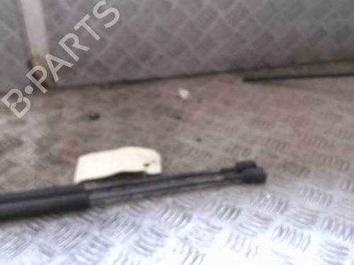 Tailgate lift support FORD FIESTA V (JH_, JD_) 1.4 TDCi | BP20996848C138 