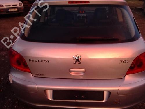 Front left door window PEUGEOT 307 (3A/C) 2.0 16V | BP20989418C18 