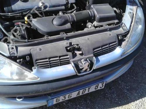 Used Grille PEUGEOT 206 CC (2D) 2.0 S16 (136 hp) 27336743