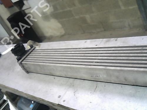 Intercooler MERCEDES-BENZ A-CLASS (W169) A 180 CDI (169.007, 169.307) | BP20995097M30
