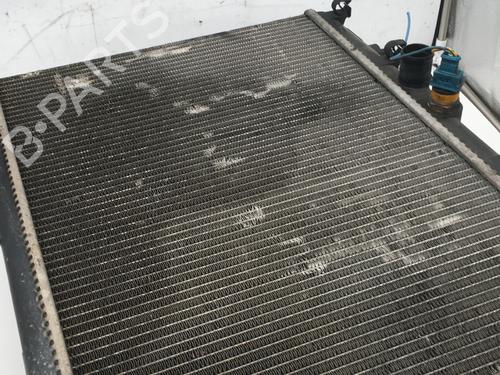 Used Water radiator PEUGEOT 206 Hatchback (2A/C) 1.9 D (69 hp) 31213996