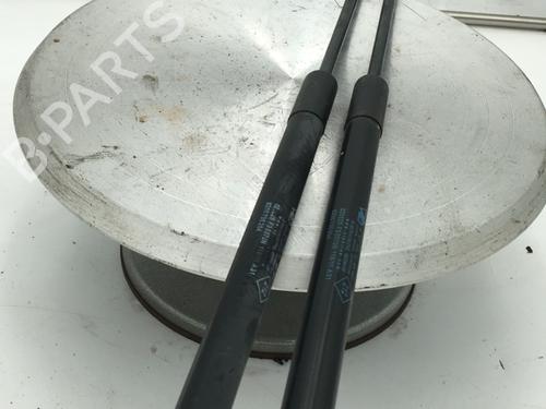 Tailgate lift support DACIA SANDERO 1.5 dCi | BP29448214C138