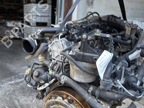 Engine FORD C-MAX II (DXA/CB7, DXA/CEU) 1.6 TDCi | BP28109001M1 