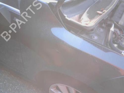 Błotnik przedni prawy RENAULT MEGANE III Hatchback (BZ0/1_, B3_) 1.4 TCe (BZ0F, BZ1V) 631009441R