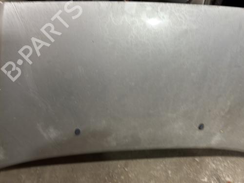 Hood CITROËN C2 (JM_) 1.1 | BP29540139C1
