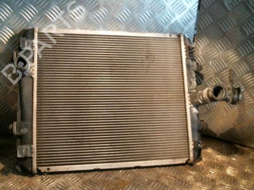 Used Water radiator PEUGEOT 107 (PM_, PN_) 1.0 (68 hp) 21000230
