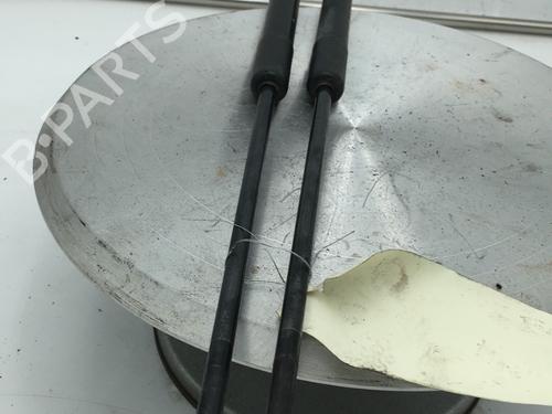 Heckklappendämpfer für DACIA SANDERO 1.5 dCi (68 hp) 29448214