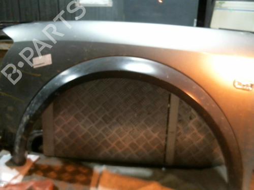 Left front fenders AUDI ALLROAD C5 (4BH) 2.5 TDI quattro | BP22039493C41 