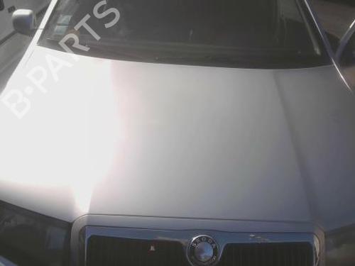 hood-skoda-fabia-i-6y2-1999-2000-2001-2002-2003-2004-2005-2006-2007-2008-33650719 main image