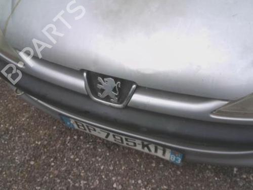 Grill PEUGEOT 206 Hatchback (2A/C) 2.0 HDI 90 (90 hp) 30413045