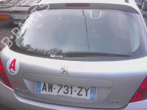 Used Tailgate PEUGEOT 207 (WA_, WC_) 1.4 HDi (68 hp) 32142188