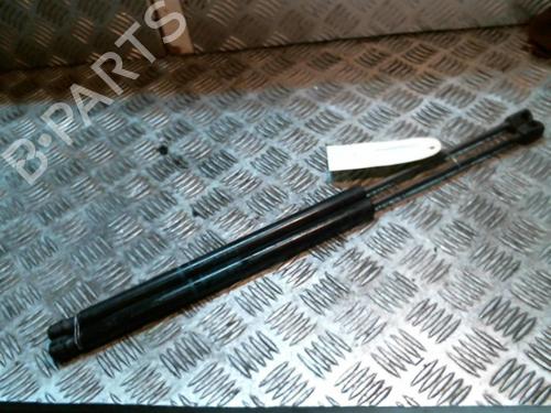 Used Tailgate lift support RENAULT SCÉNIC II (JM0/1_) 2.0 (JM05, JM0U, JM1N, JM1U, JM2V) (135 hp) 25259188