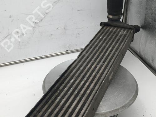 Used Intercooler FIAT SEDICI (189_) 1.9 D Multijet 4x4 (120 hp) 31577212