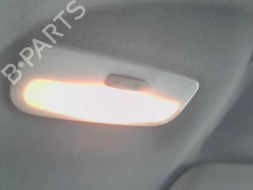 Used Interior roof light RENAULT SCÉNIC III (JZ0/1_) 1.5 dCi (110 hp) 29043642