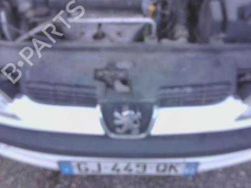 Grill PEUGEOT 206 Hatchback (2A/C) 1.4 i (75 hp) 30480100