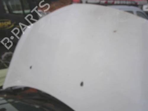 hood-renault-clio-iii-br01-cr01-2005-2006-2007-2008-2009-2010-2011-2012-2013-2014-34450671 main image