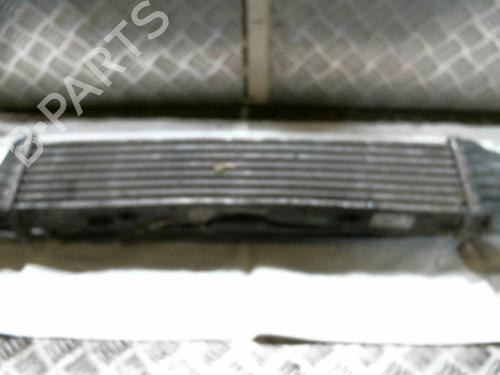 Intercooler MERCEDES-BENZ E-CLASS (W210) E 220 CDI (210.006) | BP20996390M30