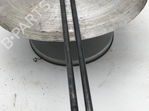 Tailgate lift support CITROËN XSARA PICASSO (N68) 2.0 HDi | BP31168426C138