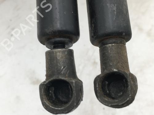 tailgate-lift-support-citroen-c5-i-dc_-2001-2002-2003-2004-2005-32318501 main image