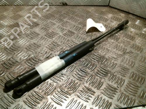 Used Tailgate lift support CITROËN C3 I (FC_, FN_) 1.4 HDi (68 hp) 20994864