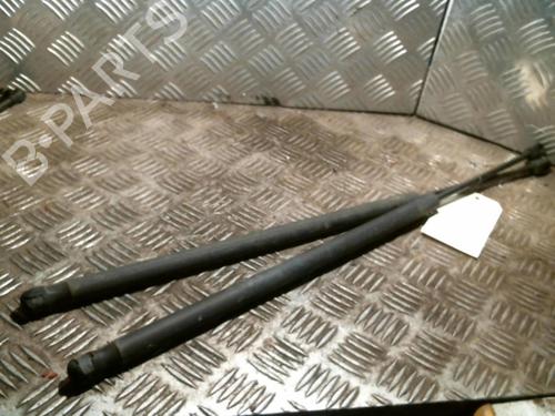 Used Tailgate lift support FORD FIESTA V (JH_, JD_) 1.4 TDCi (68 hp) 20996848