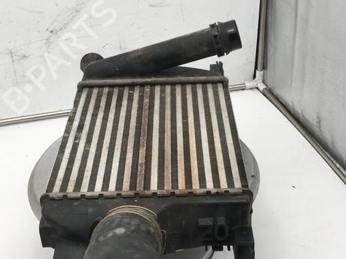 Used Intercooler DACIA SANDERO II TCe 90 (B8M1, B8MA, B8AC) (90 hp) 25304899