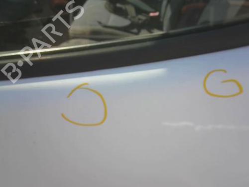 Left front door RENAULT TRAFIC II Van (FL) 1.9 dCi 80 (FL0B) | BP28541960C2 