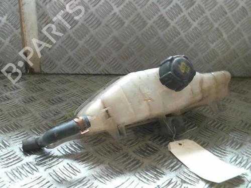 Expansion tank RENAULT CLIO III (BR0/1, CR0/1) 1.5 dCi (BR0H, CR0H, CR1S, BR1S) | BP20997602C120 