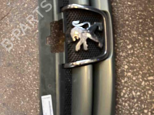 grille-peugeot-partner-mpv-5_-g_-1996-36557096 main image