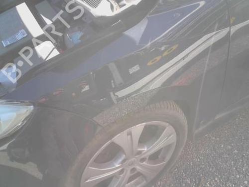 Used Left front fenders RENAULT MEGANE III Coupe (DZ0/1_) 2.0 dCi (DZ0L) (160 hp) 28622578